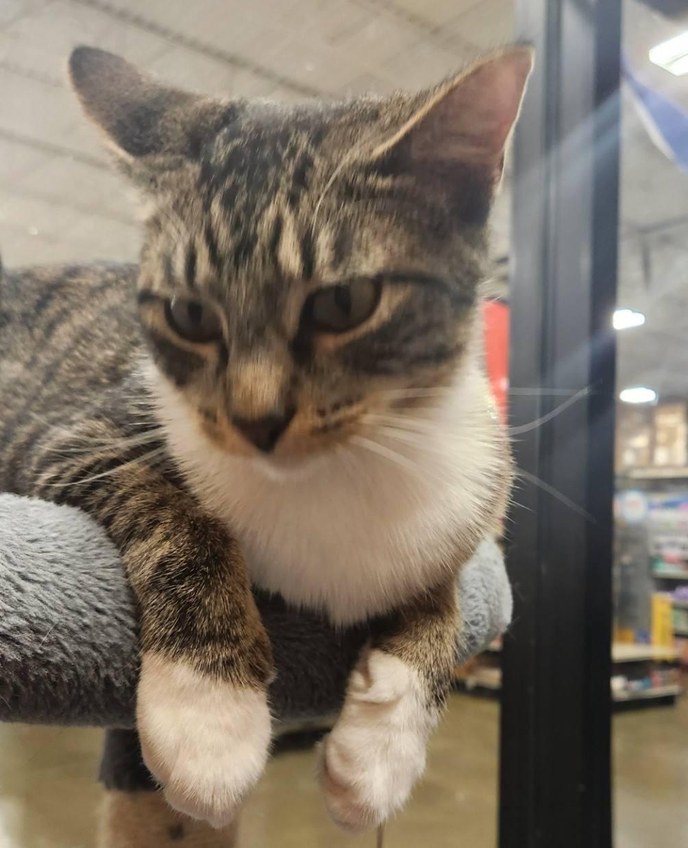 Tippy - super snuggly!