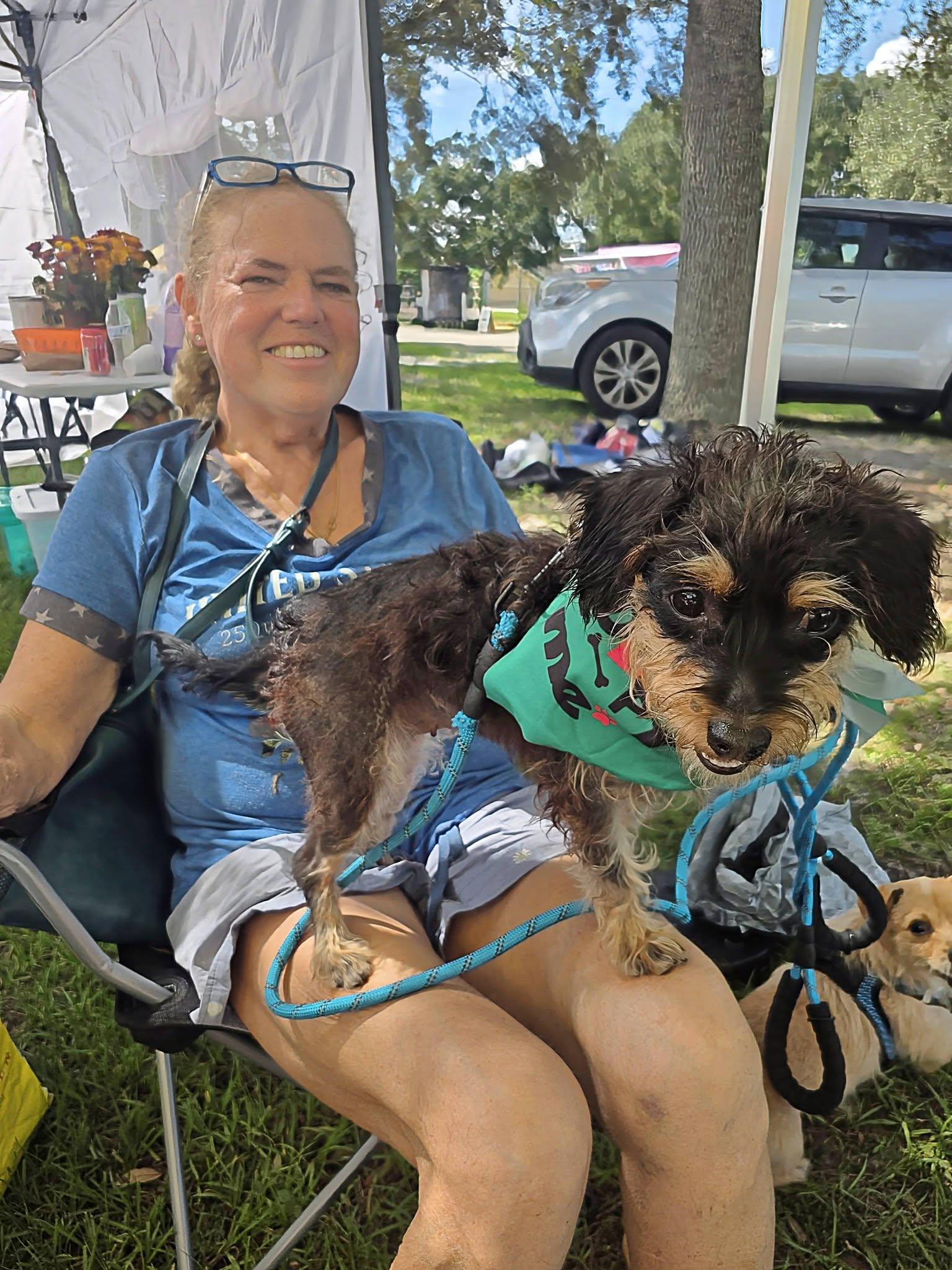 Enlarge Minnie, a Adoptable Yorkshire Terrier in Palm Bay, FL image 5/6