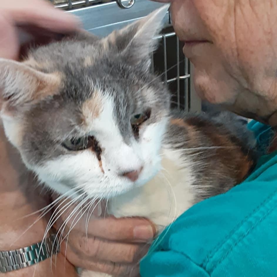 Charlotte -12 yo senior (bonded to Patches)