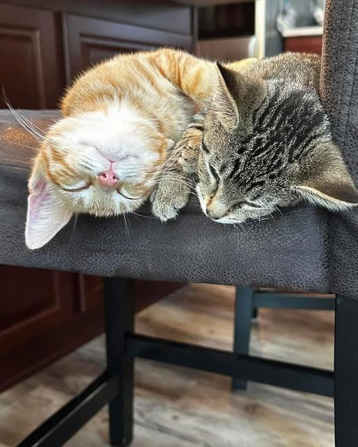 Neptune — thumbnail 6