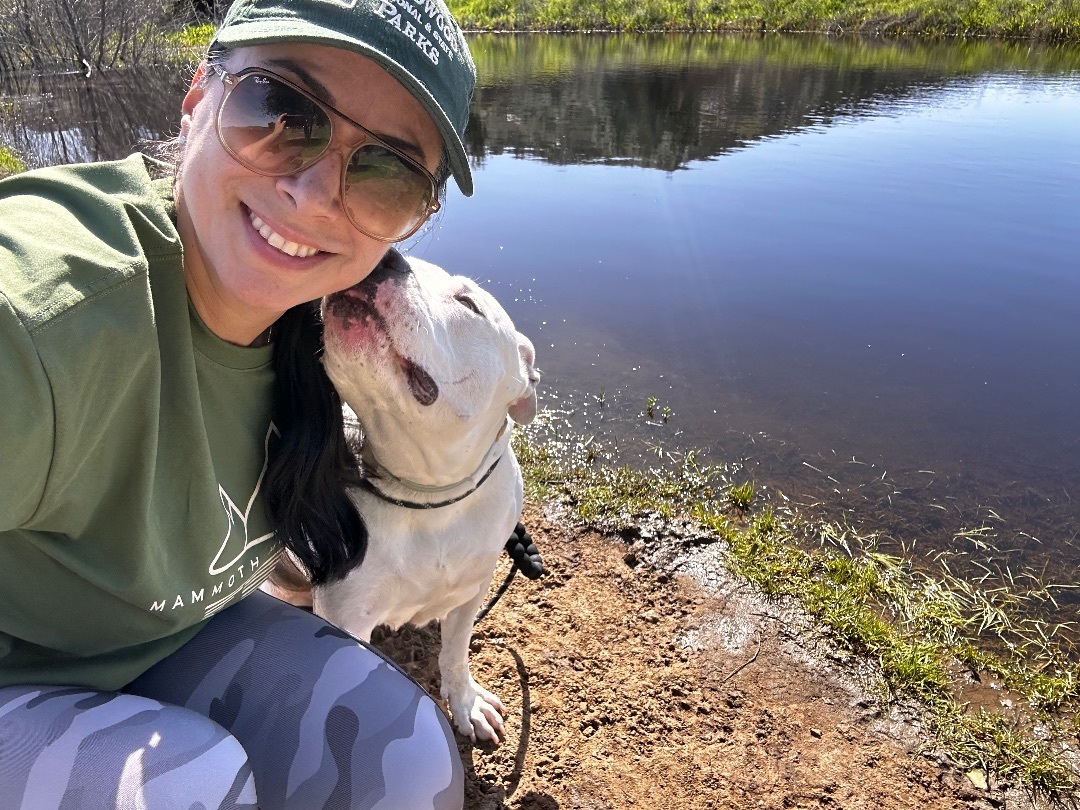 Enlarge Dessy, a Adoptable American Bulldog in Ramona, CA image 3/4