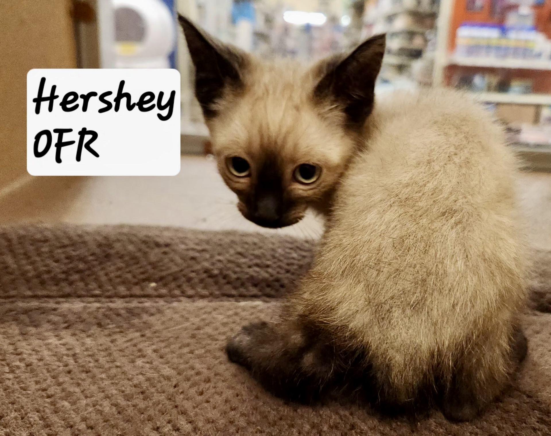 Hershey