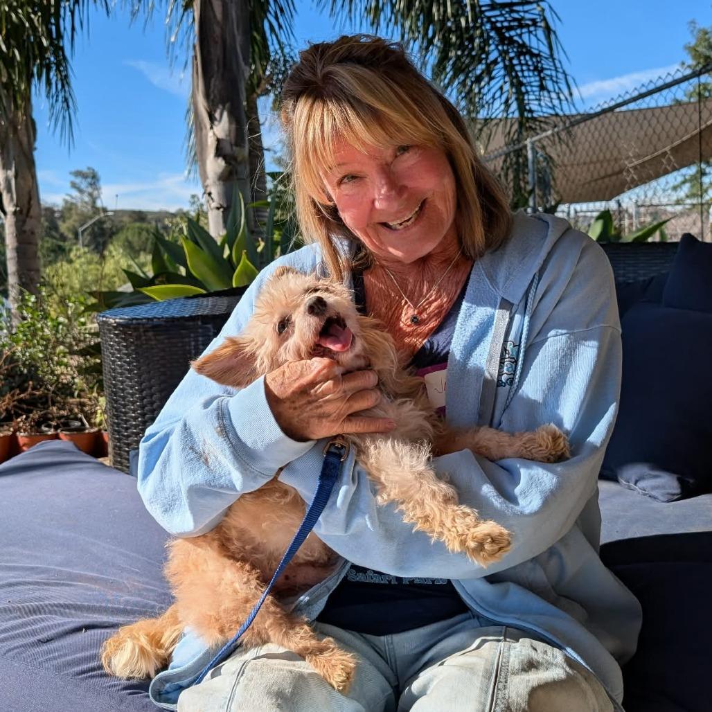 Freddie Weasley — thumbnail 4