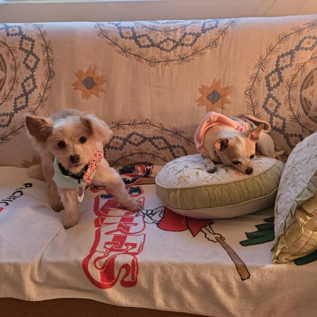 Freddie Weasley — thumbnail 5