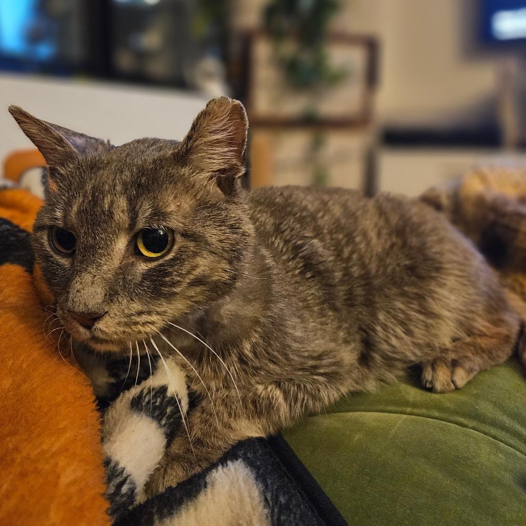 Yogi Berrera — thumbnail 2