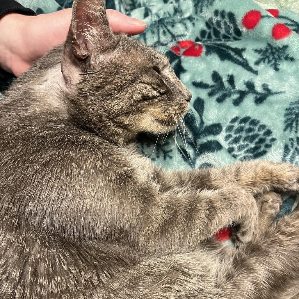 Yogi Berrera — thumbnail 5