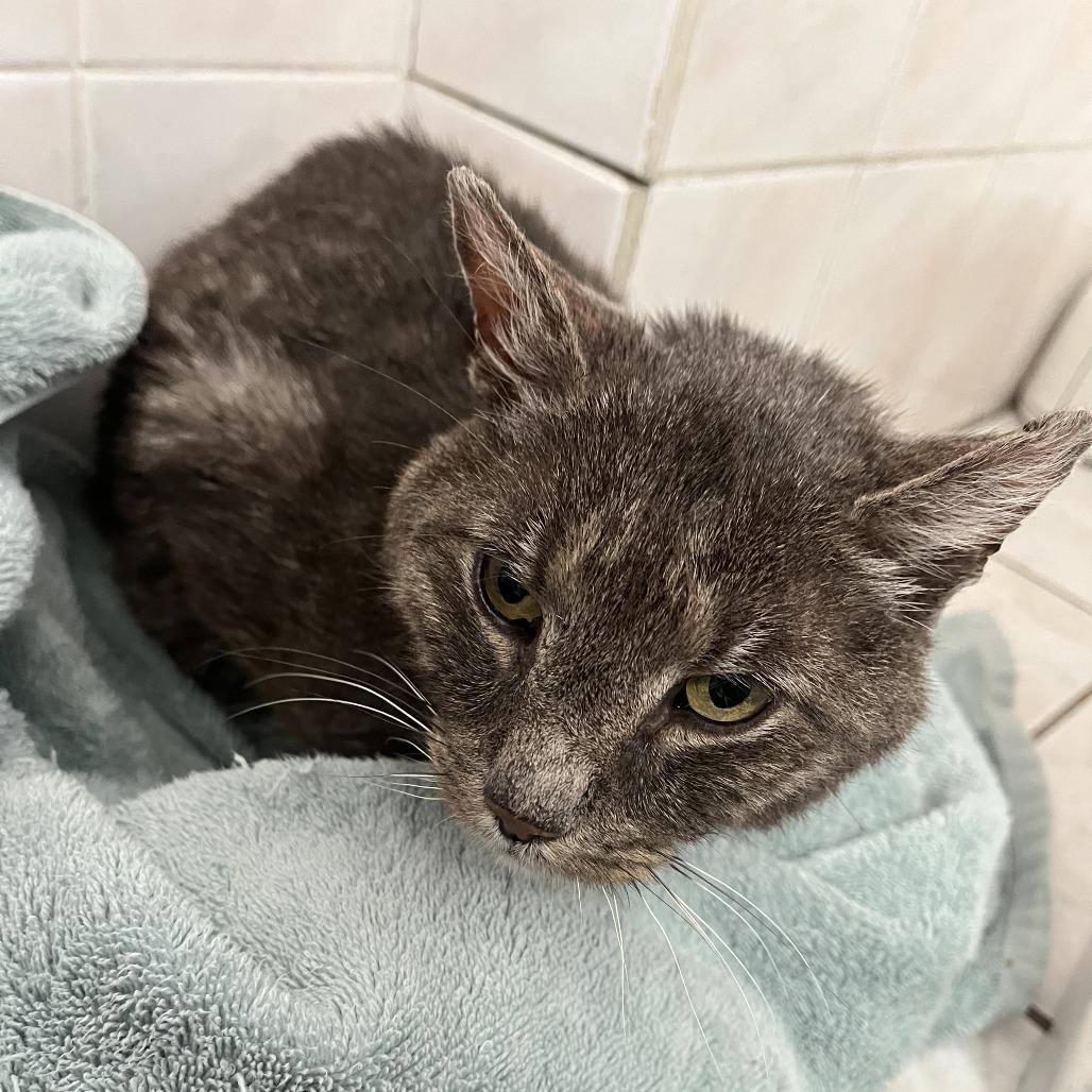 Yogi Berrera — thumbnail 6