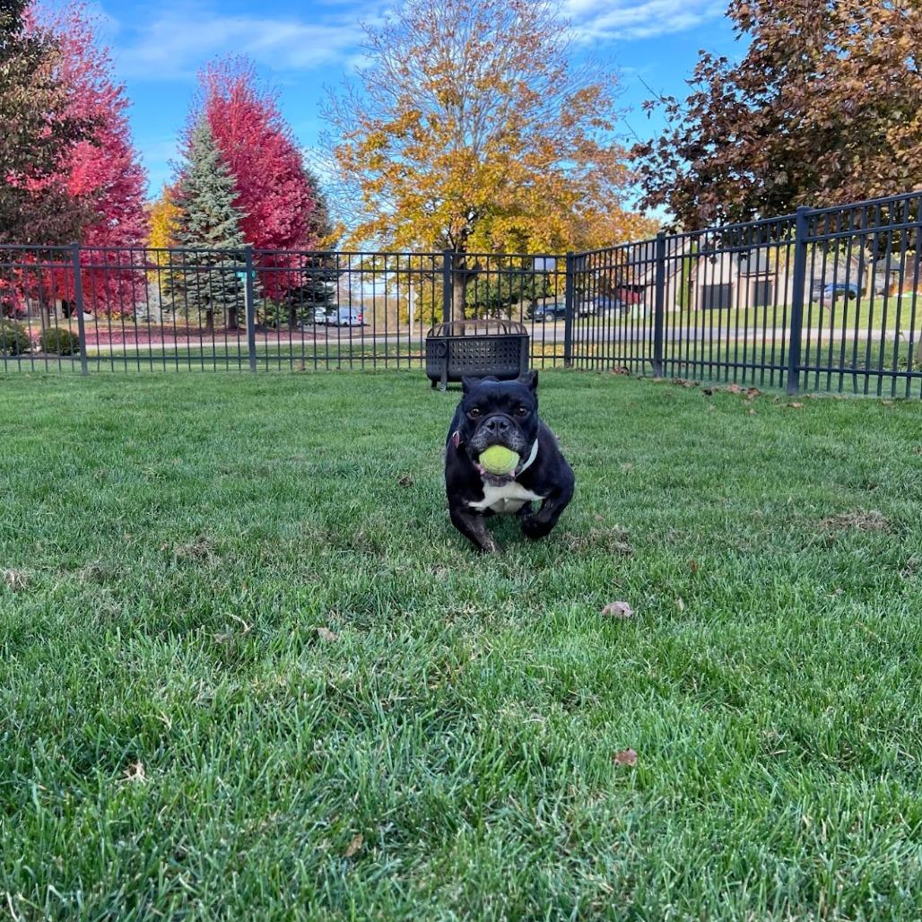 Midnights thumbnail 2