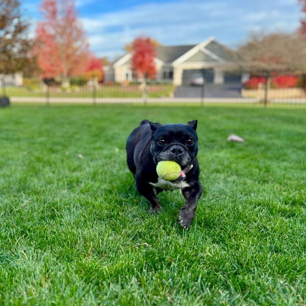 Midnights thumbnail 3