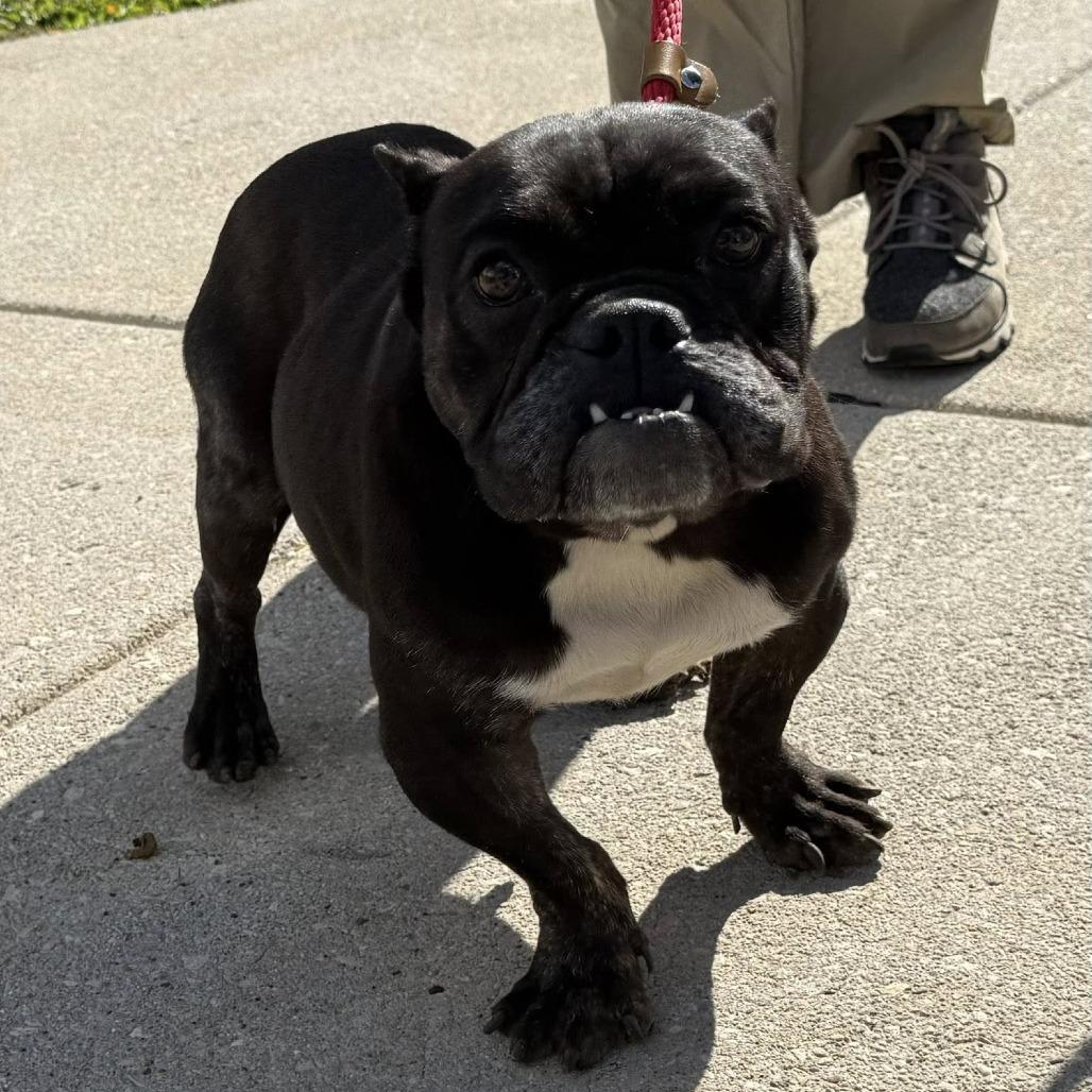 Midnights thumbnail 4