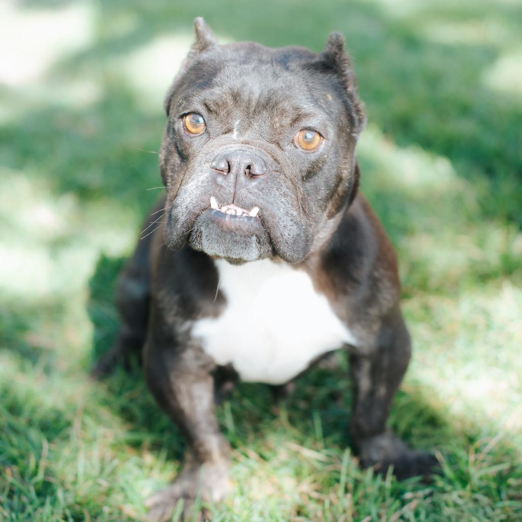 Midnights thumbnail 5