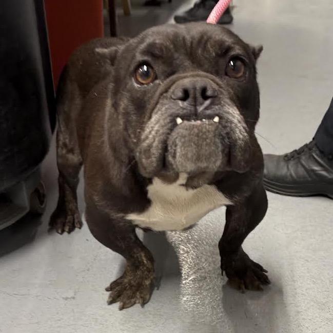 Midnights thumbnail 6