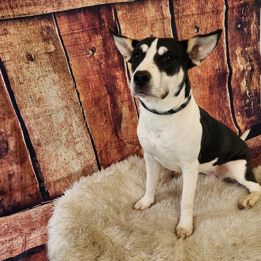 Lola Jum thumbnail 3