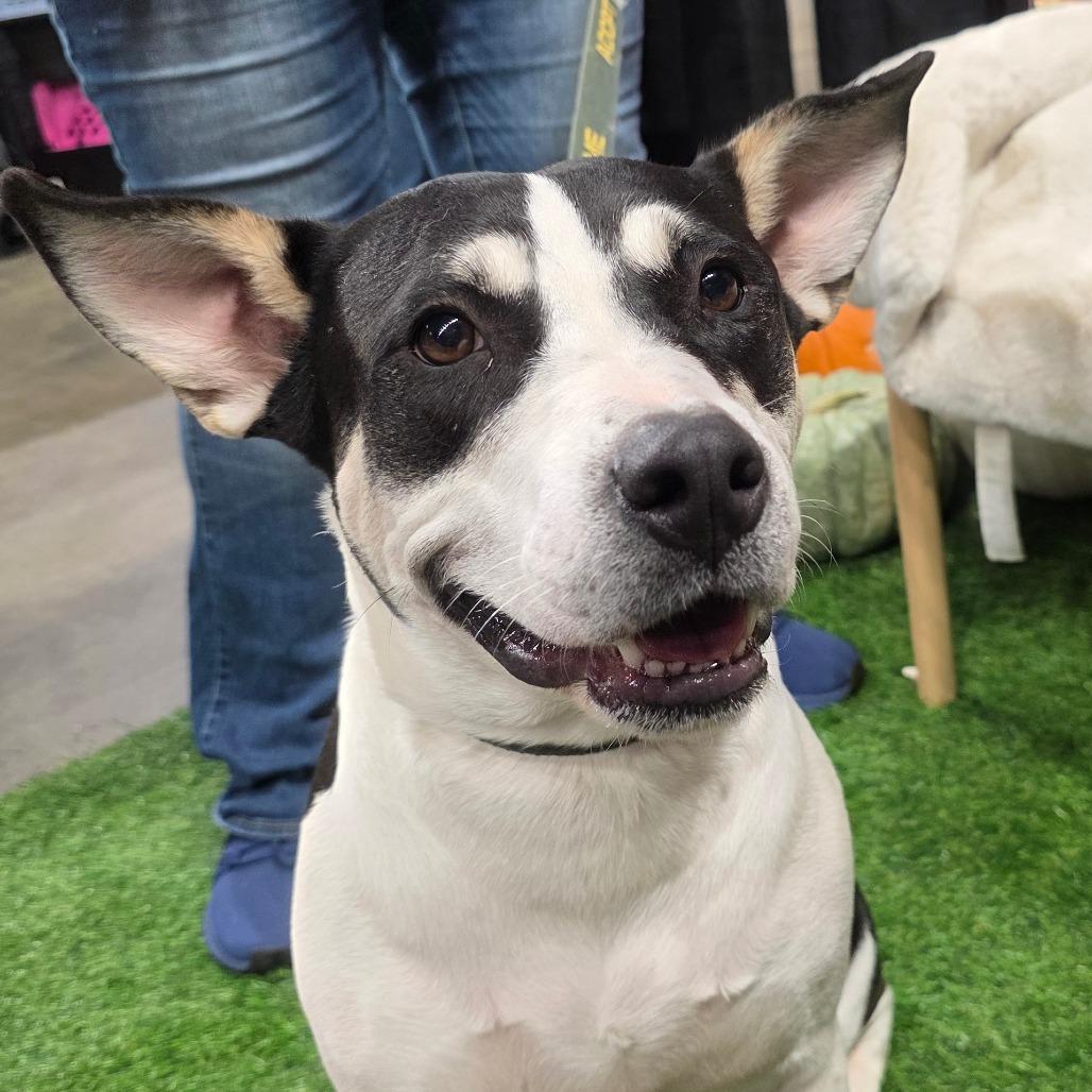 Lola Jum thumbnail 7