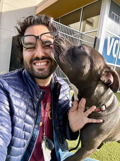 Enlarge Mistletoe, a Adoptable mixed breed in Wichita, KS image 2/3