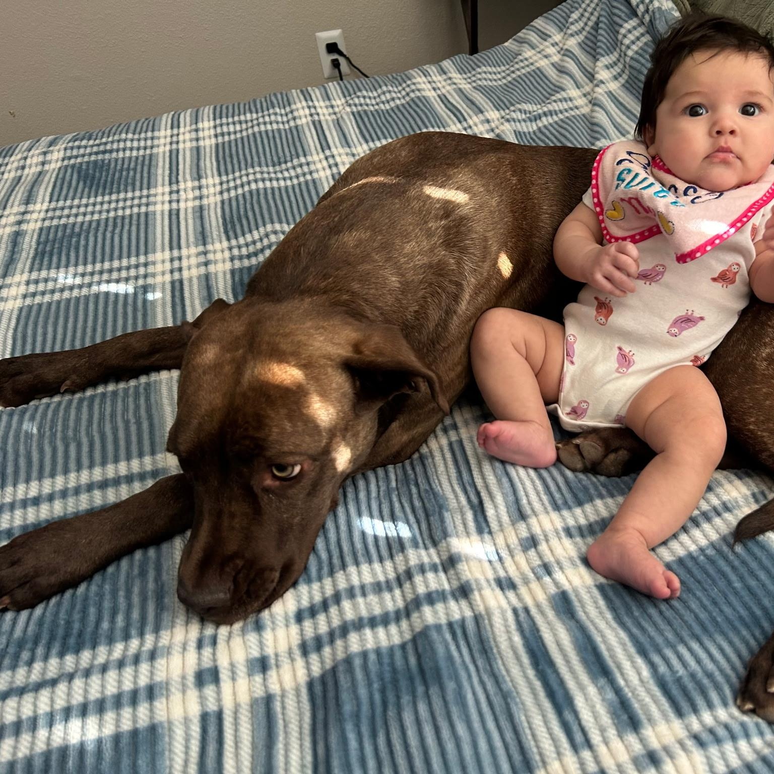 Calypso, a ADOPTABLE mixed breed in Yukon, OK image 2/3