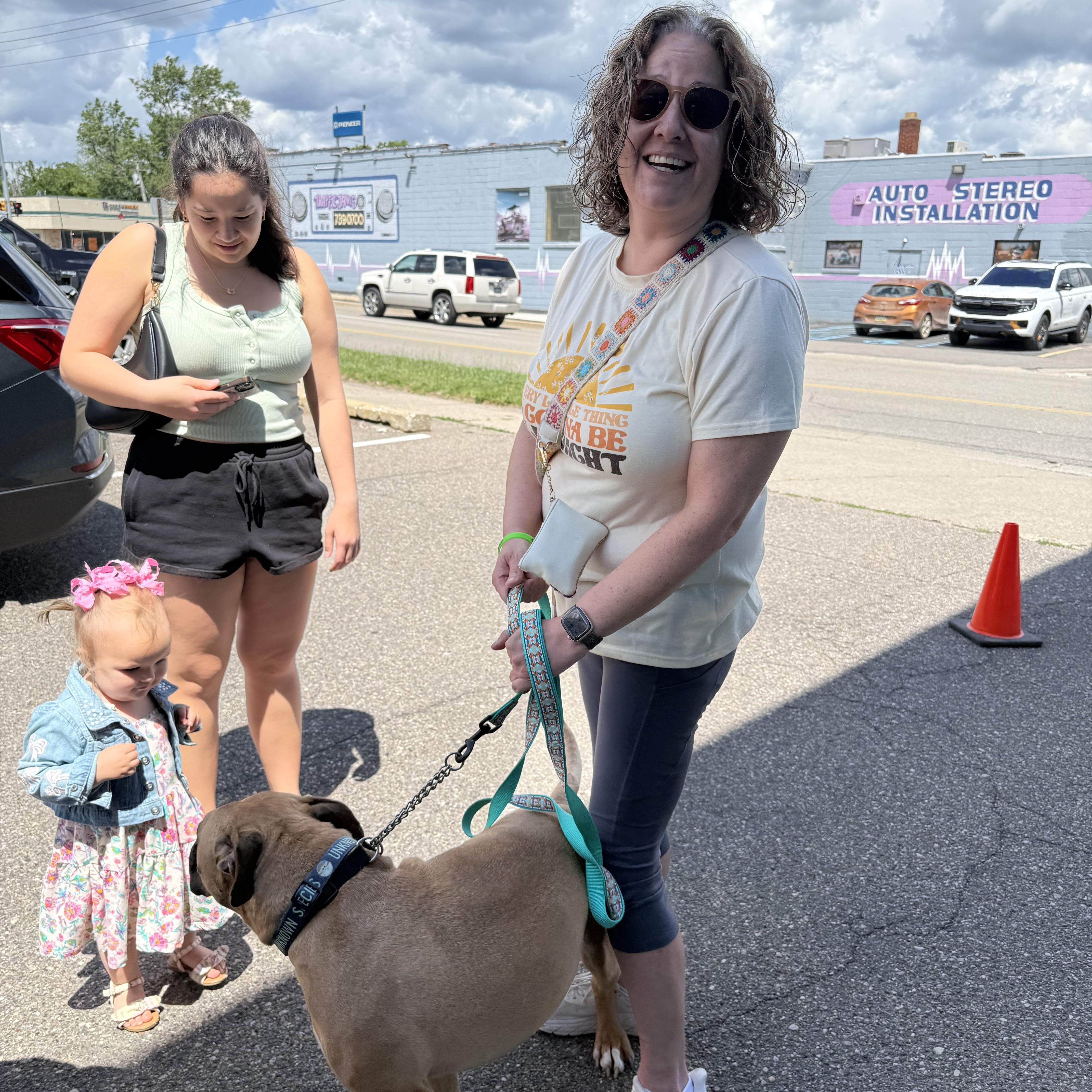 Enlarge Beau, a Adoptable mixed breed in Pleasant Ridge, MI image 6/6