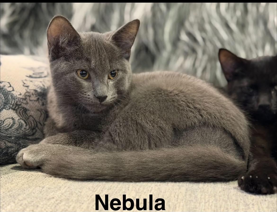 Nebula photo