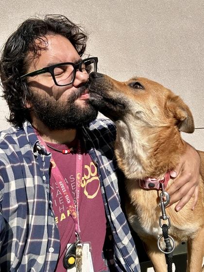 Krumpet, Adoptable, Adult Male Mixed Breed & Mixed Breed.