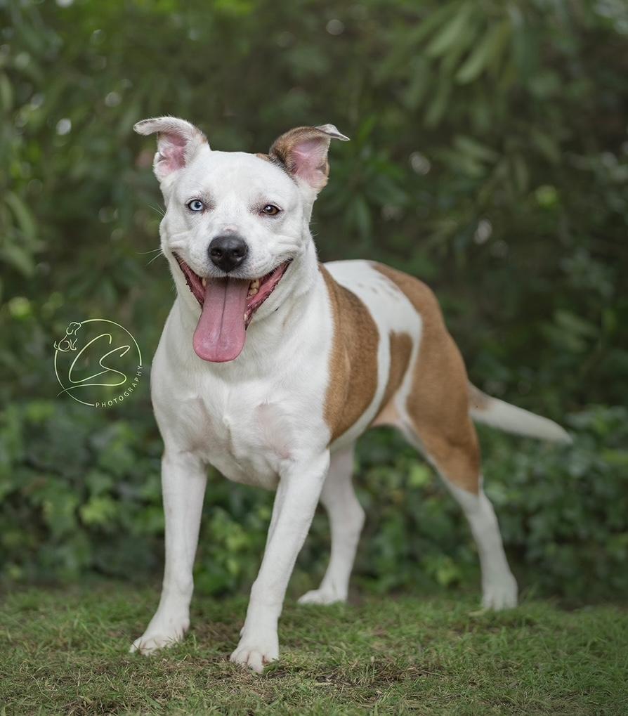 Luna Girl (contact Rachel)