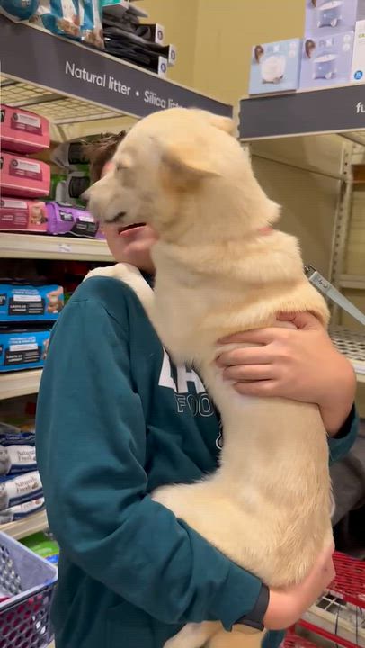 Enlarge Sunni, a Adoptable mixed breed in Willingboro, NJ video 6/6