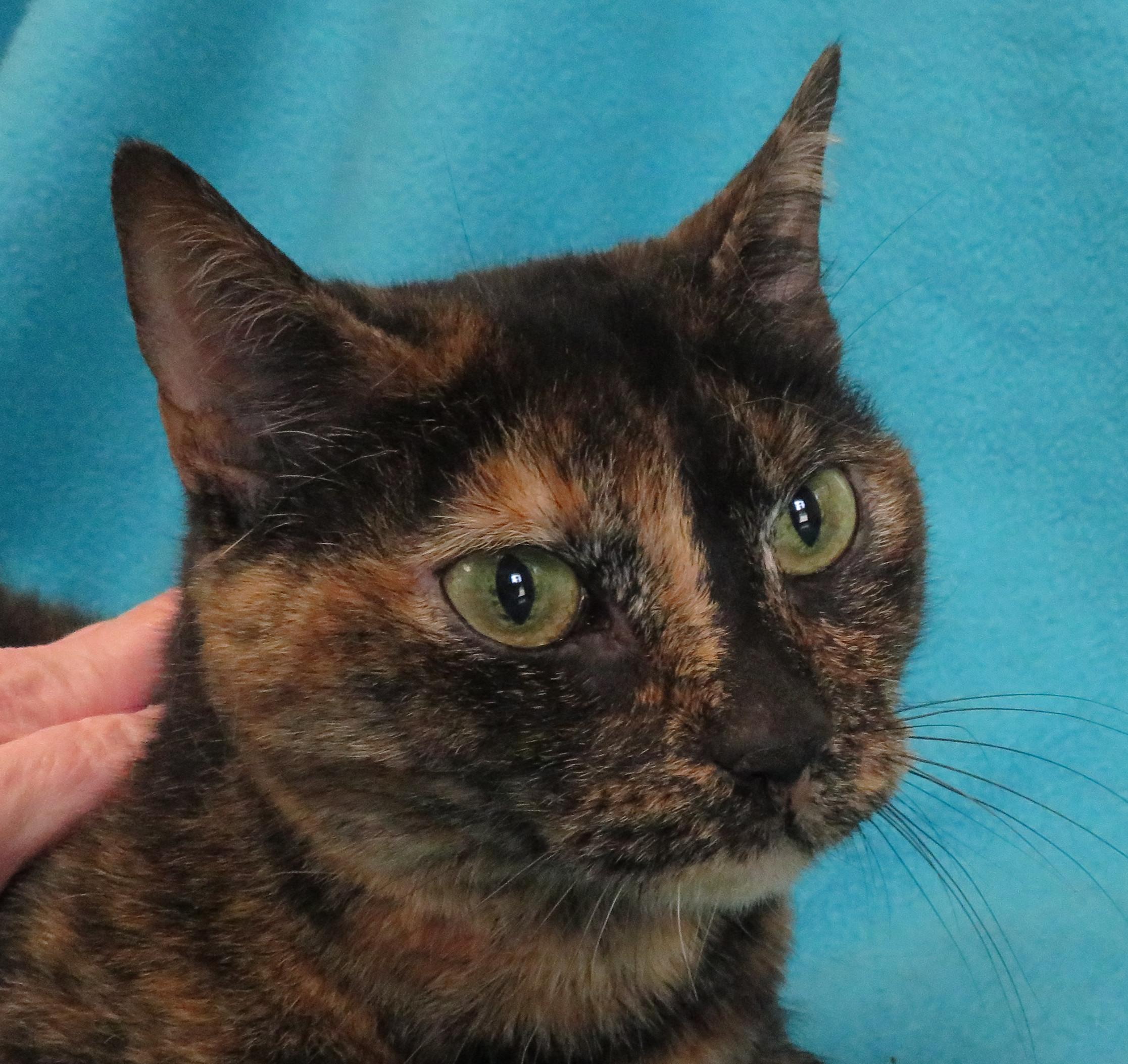 Mae Mae, Senior Female unknown