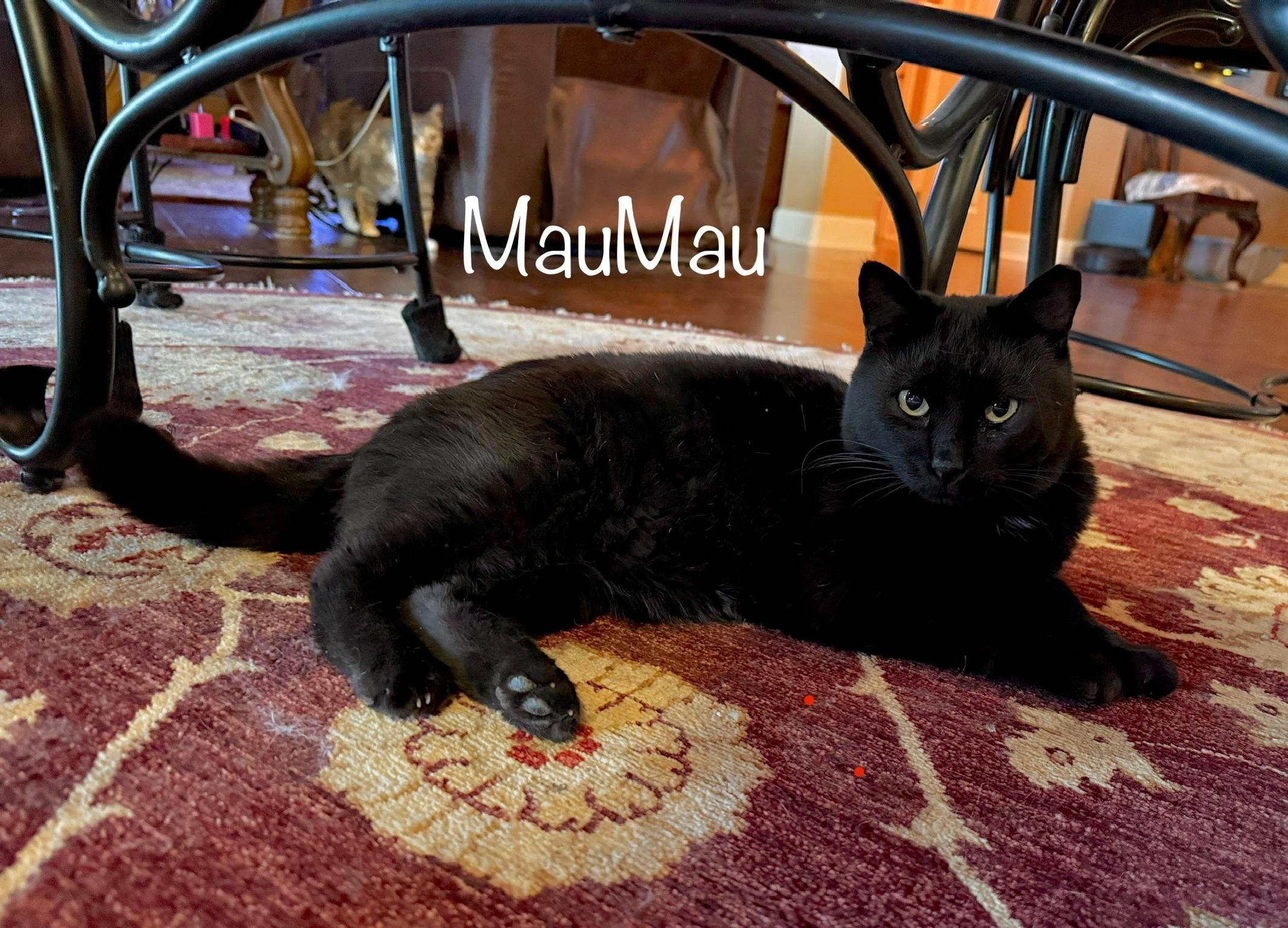 MauMau