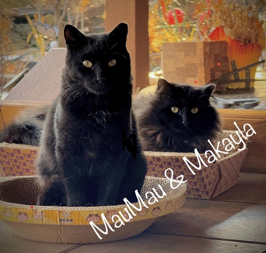 MauMau