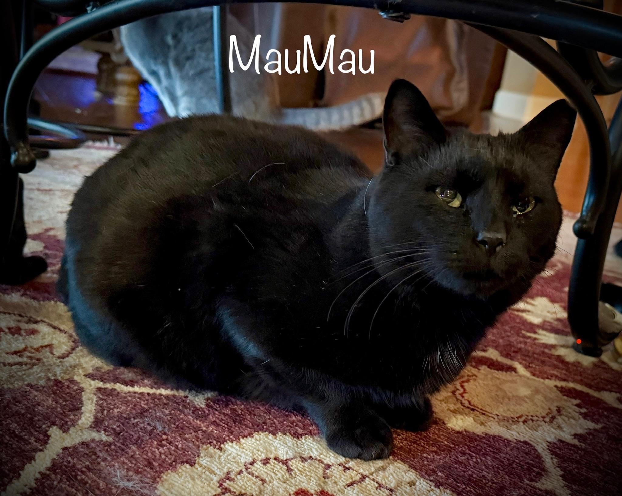 MauMau