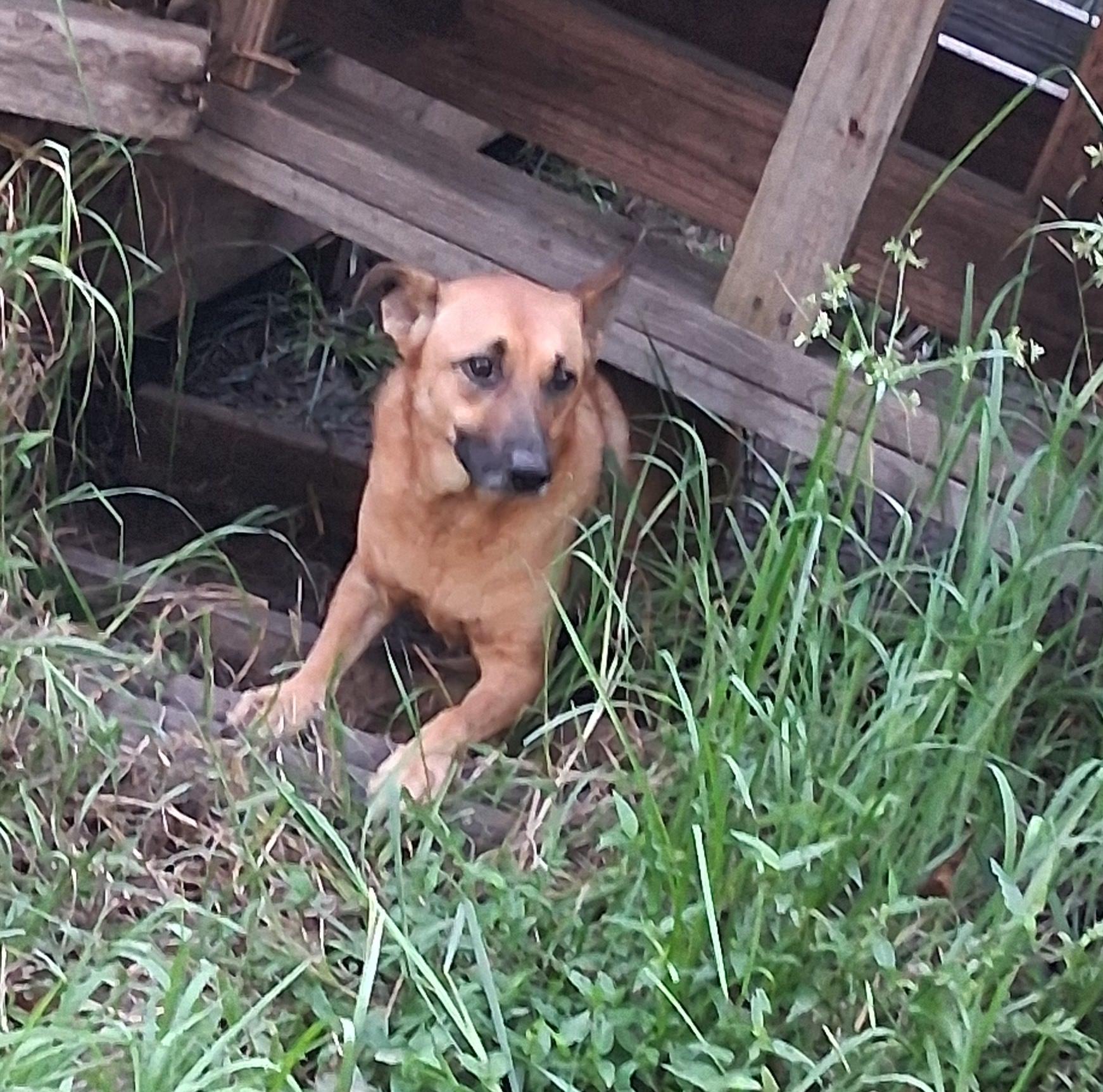 Tria — thumbnail 2