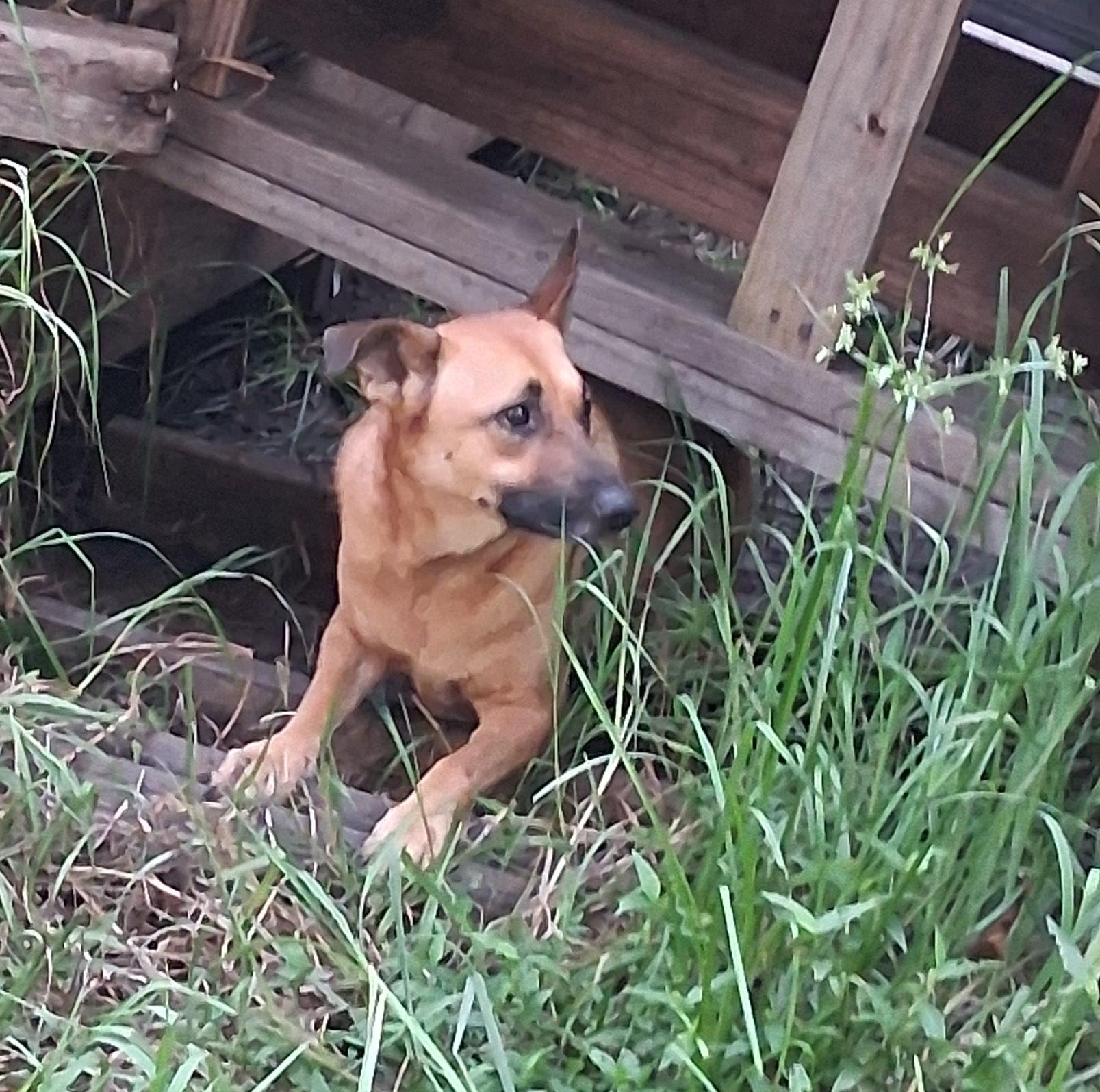 Tria — thumbnail 3