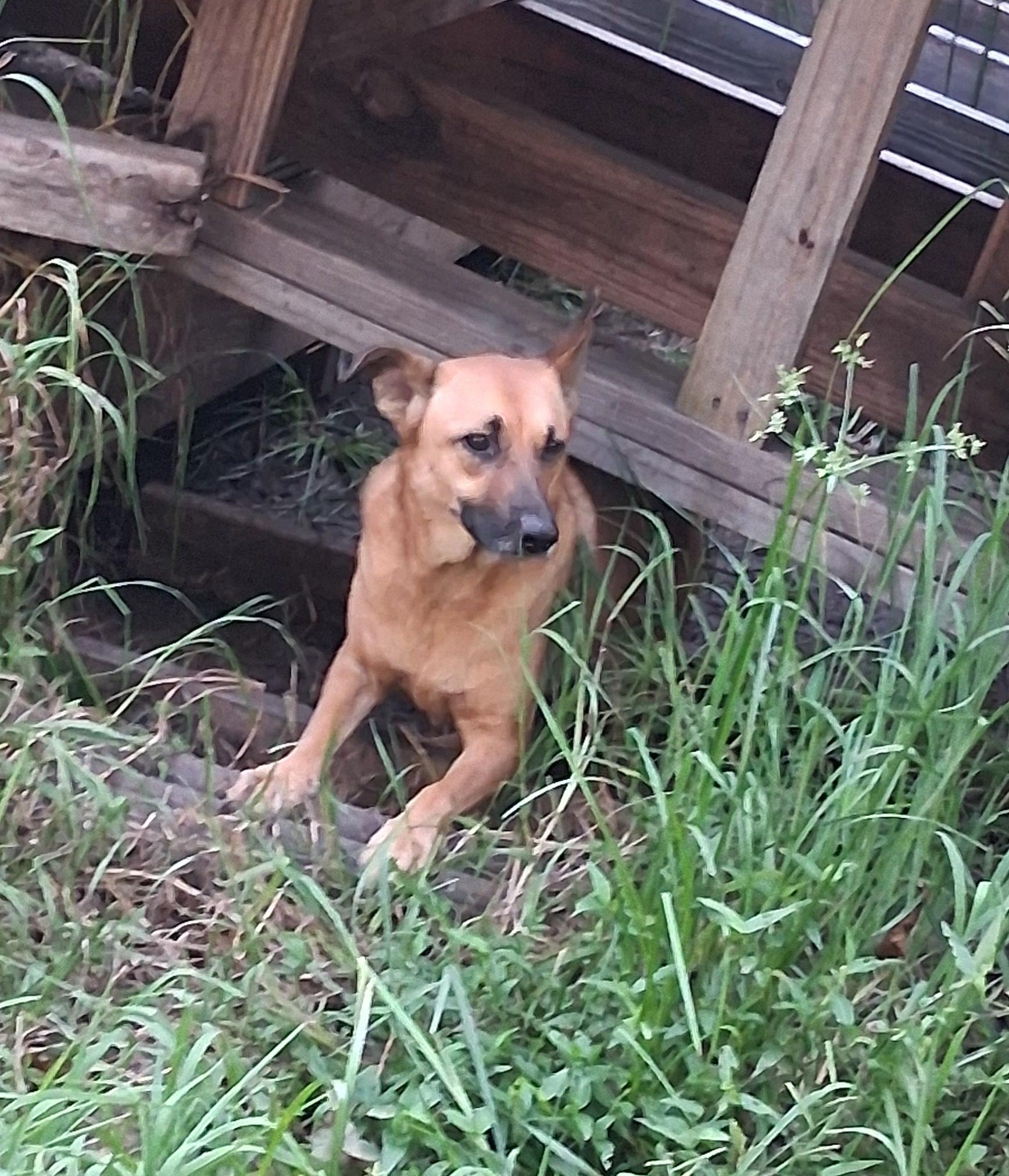 Tria — thumbnail 6