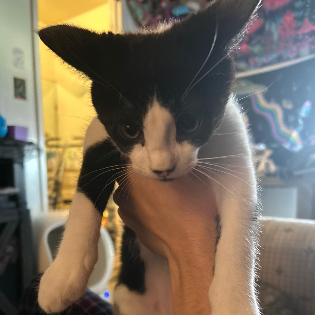 Martin — thumbnail 3