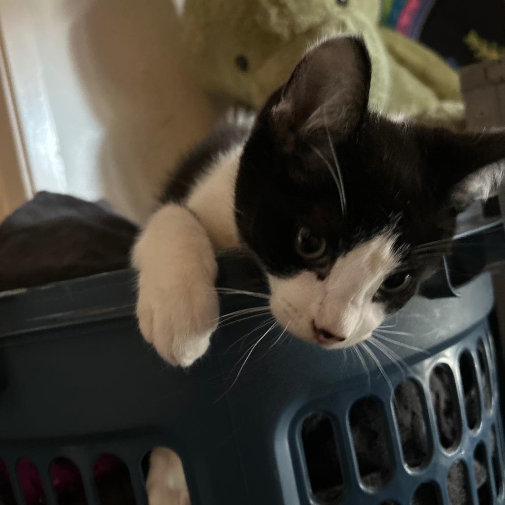 Martin — thumbnail 4