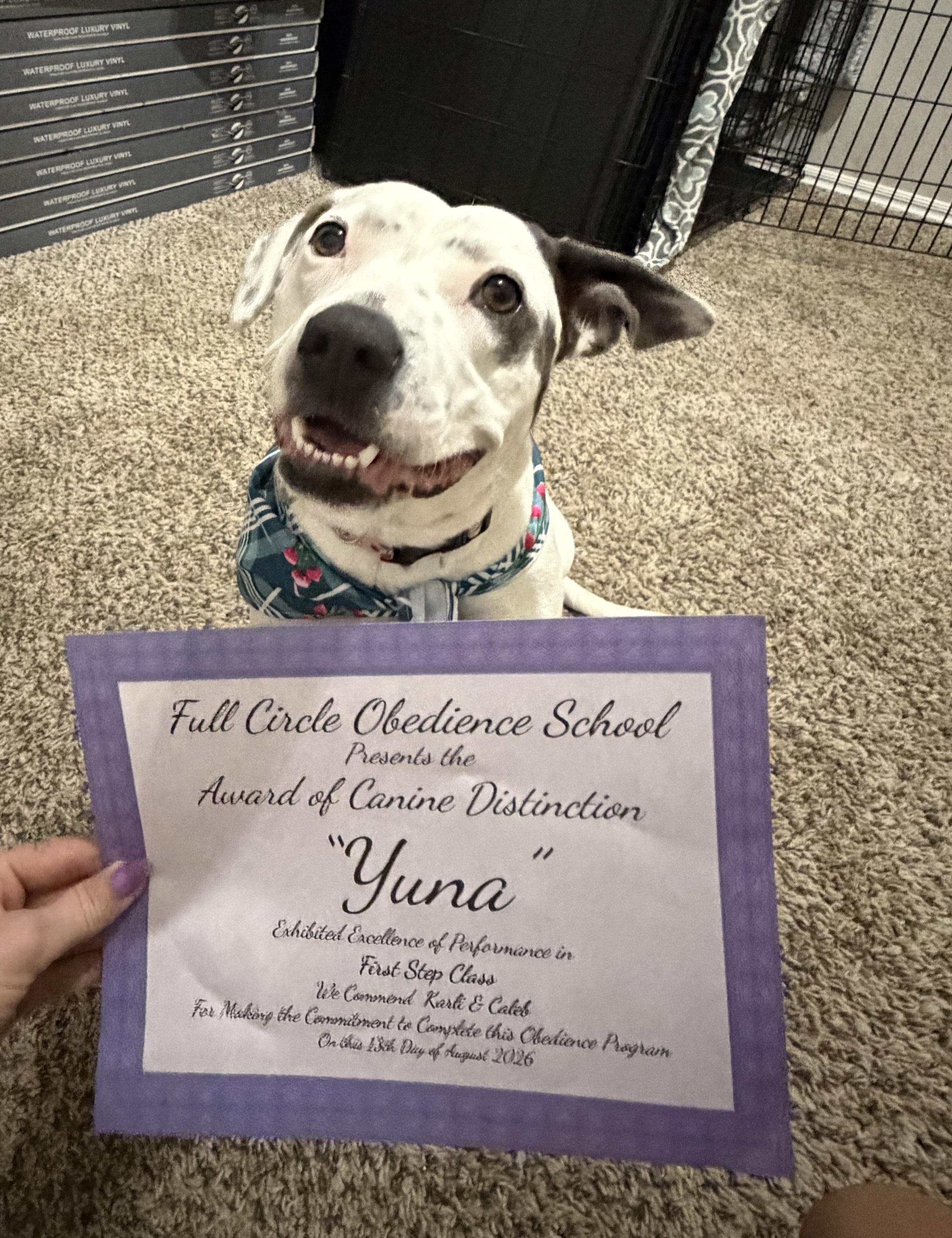 Yuna, a ADOPTABLE mixed breed in Choctaw, OK image 1/6