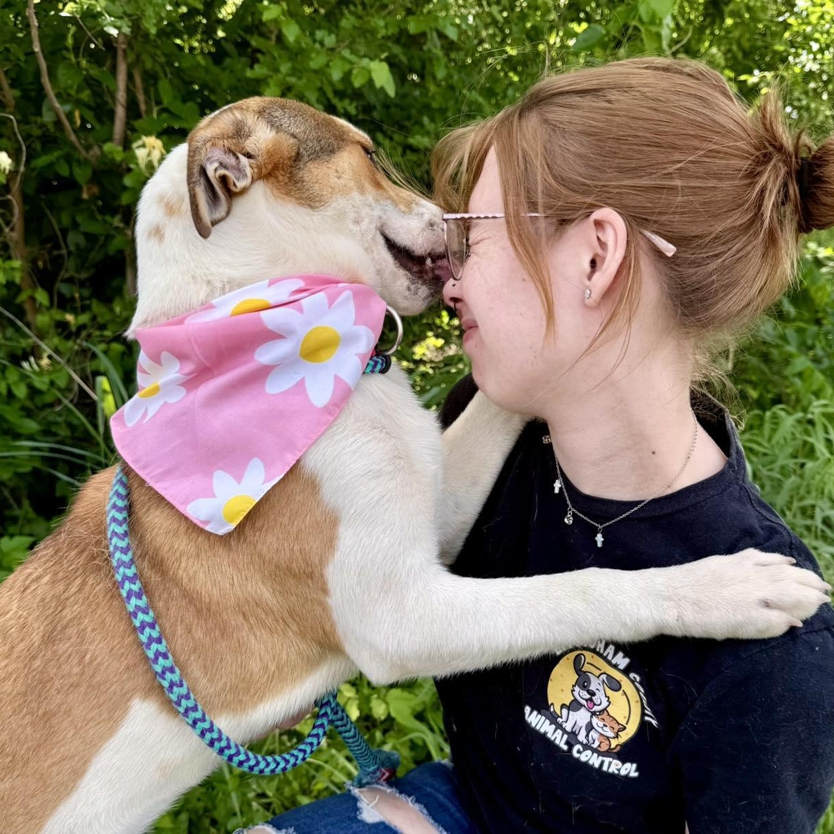 Enlarge Maxine, an adopted mixed breed in Effingham, IL image 3/5