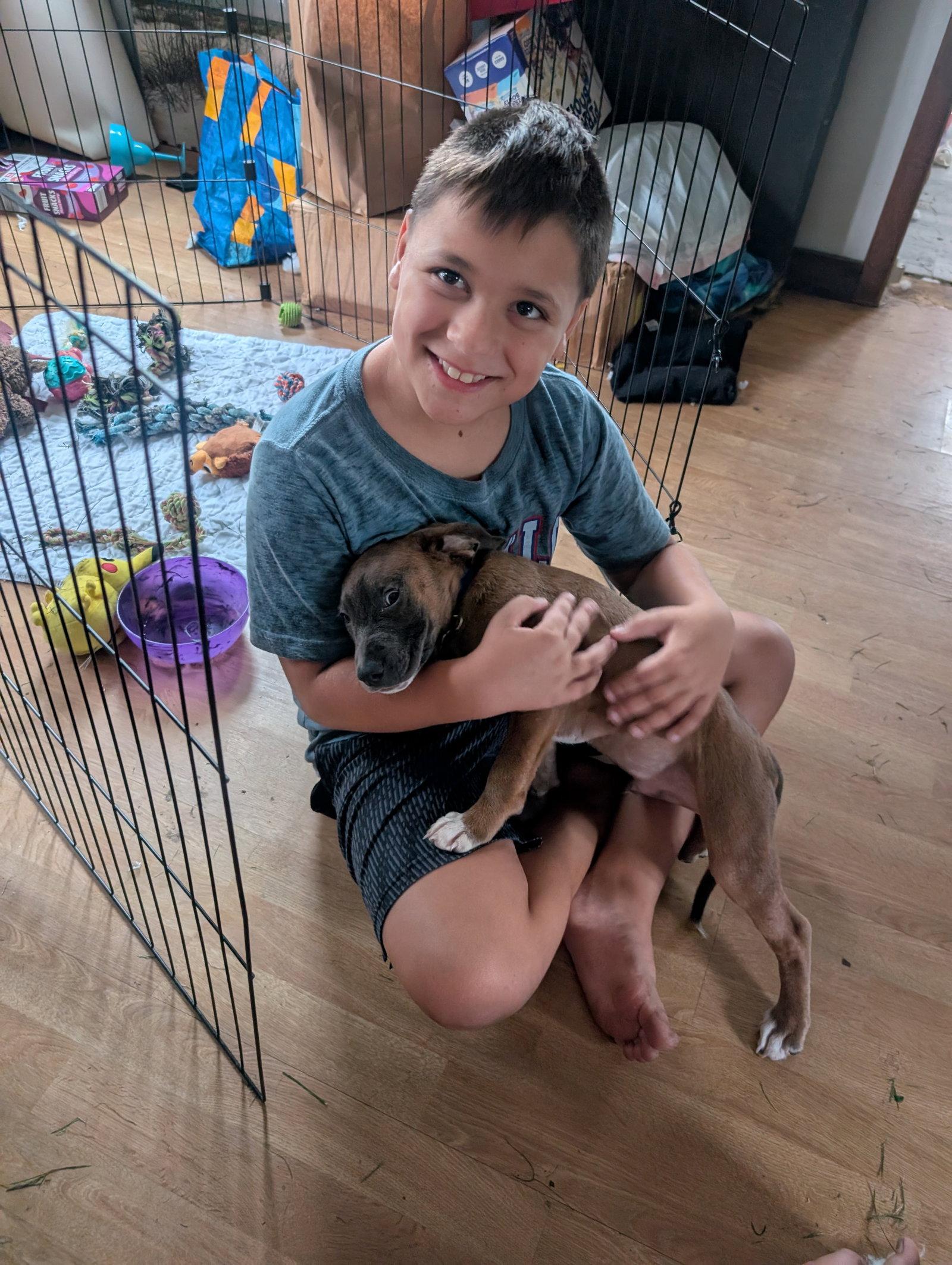 Enlarge Allen, a Adoptable mixed breed in Tonawanda, NY image 3/3