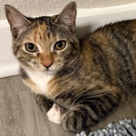 Kimchi — thumbnail 3