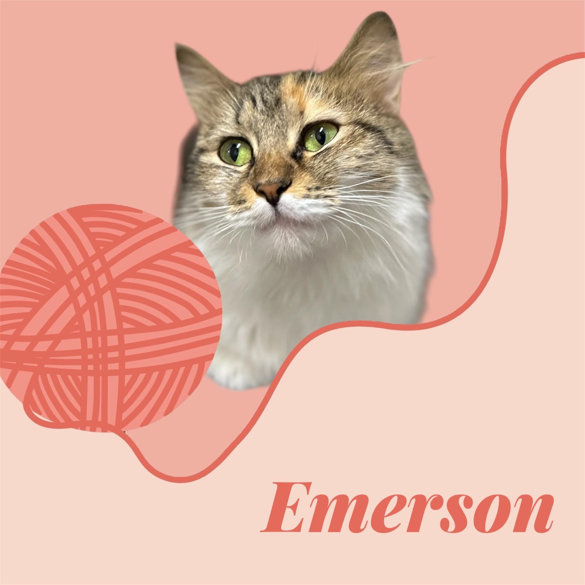 Emerson