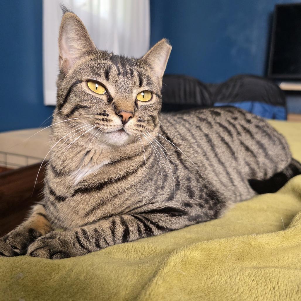 Tikka Masala — thumbnail 3