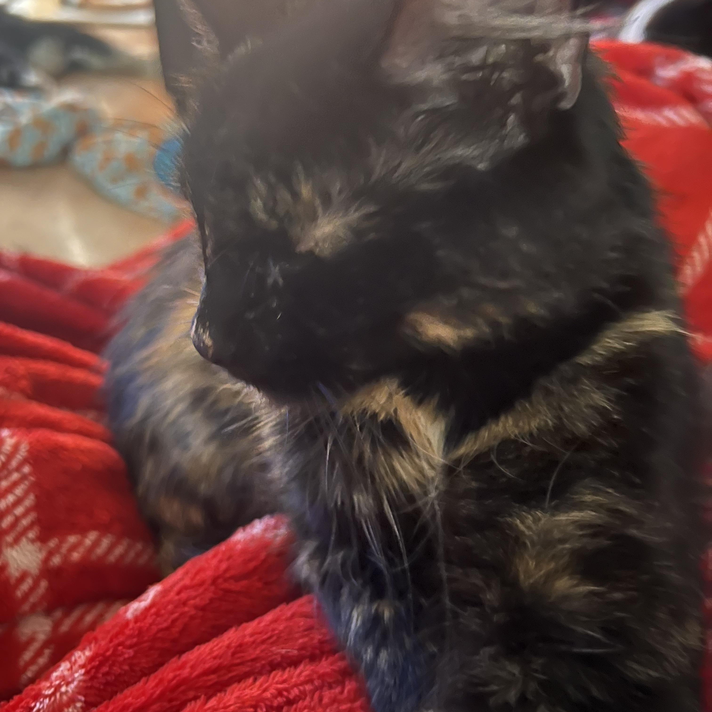 Hermione