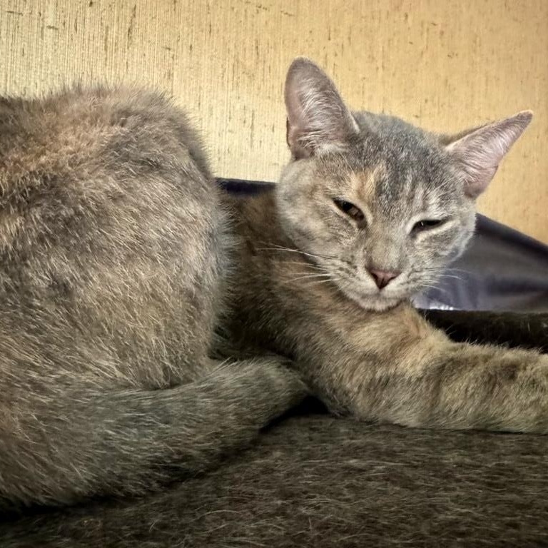 Edith