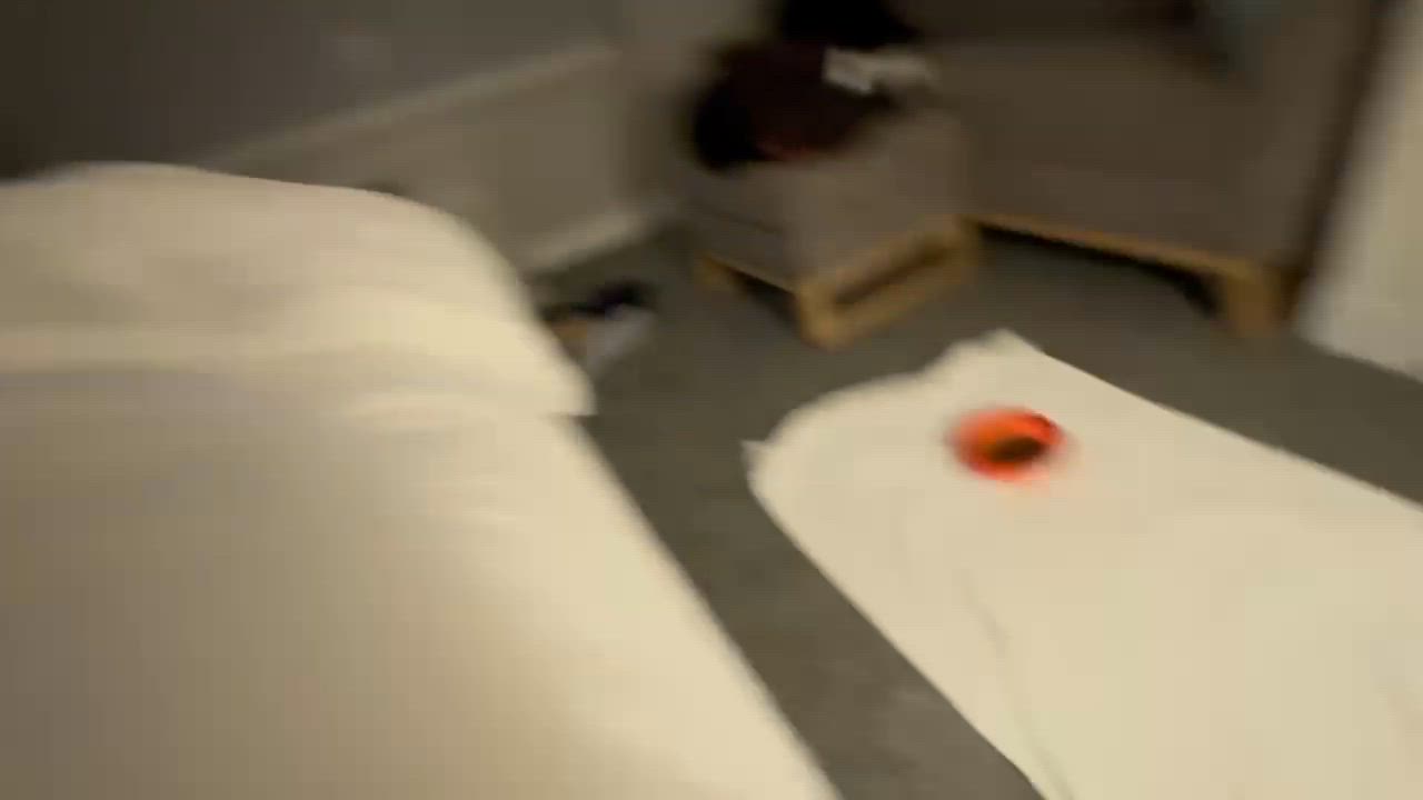 Enlarge Taz, a Adopted French Bulldog in San Diego, CA video 4/5