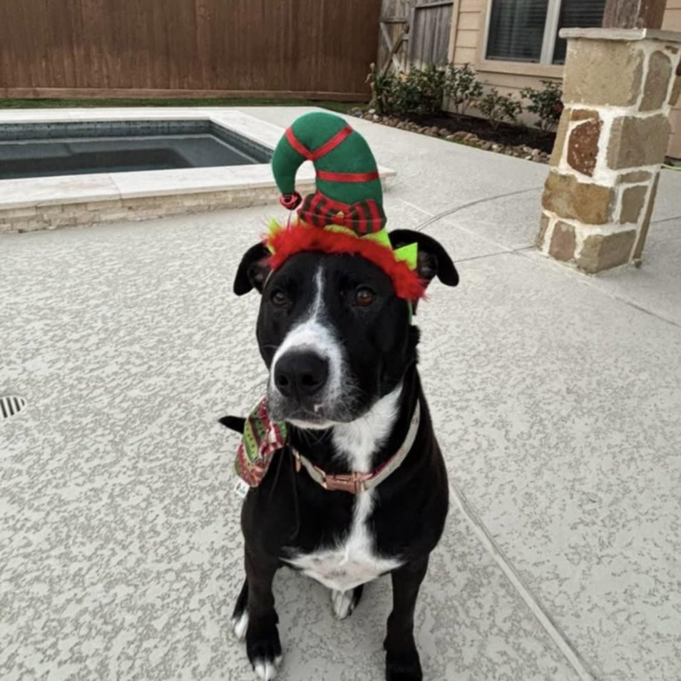 Nina — thumbnail 6