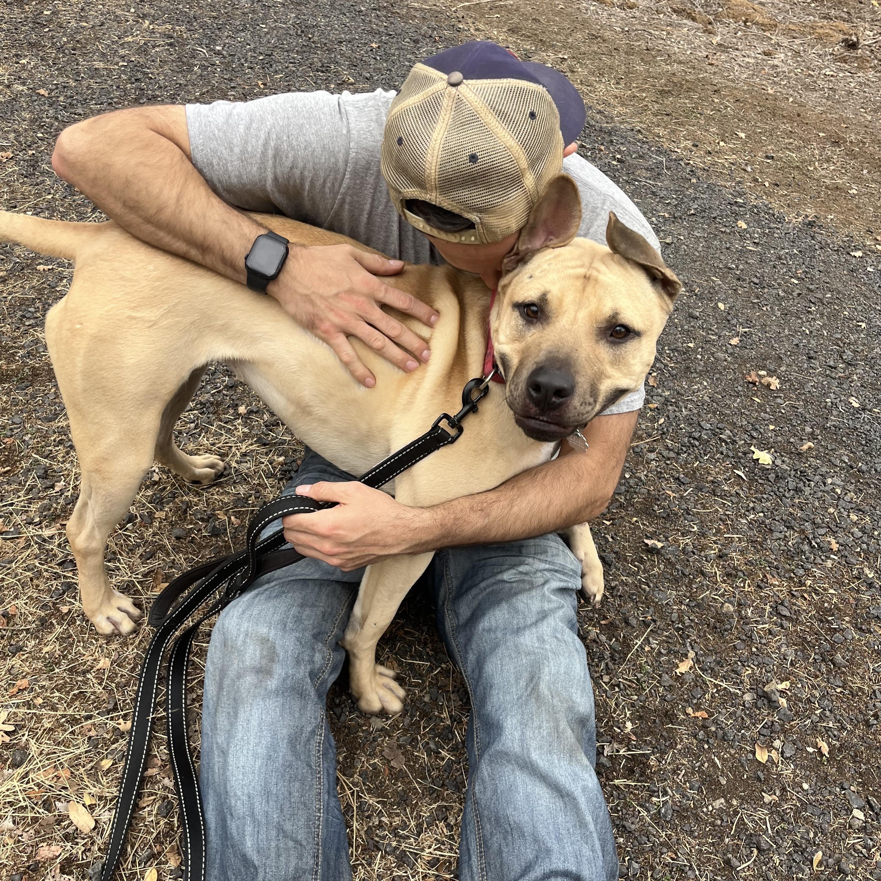 Daffodil 0124, a Adoptable Pit Bull Terrier in Sonora, CA image 5/6