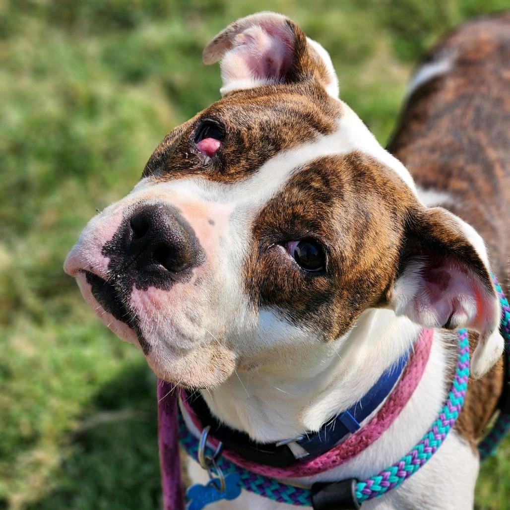 Meryl Streep thumbnail 2