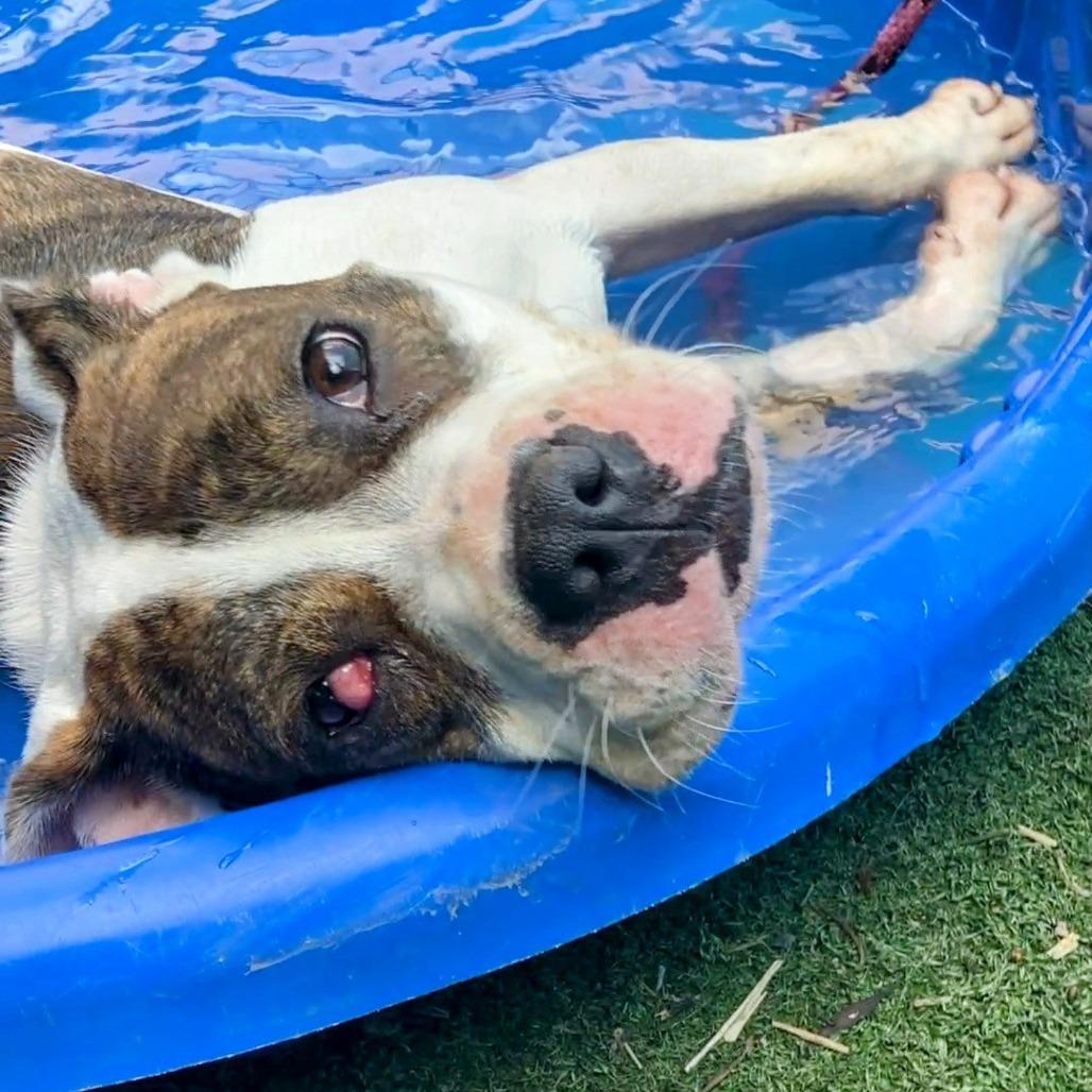 Meryl Streep thumbnail 3