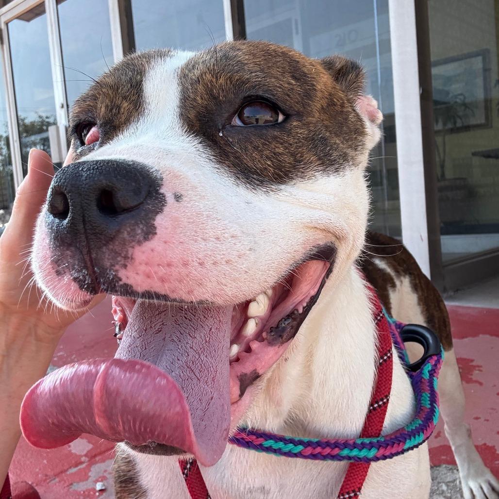 Meryl Streep thumbnail 4