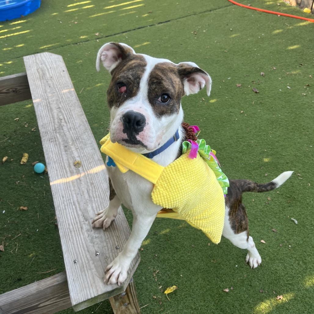 Meryl Streep thumbnail 5