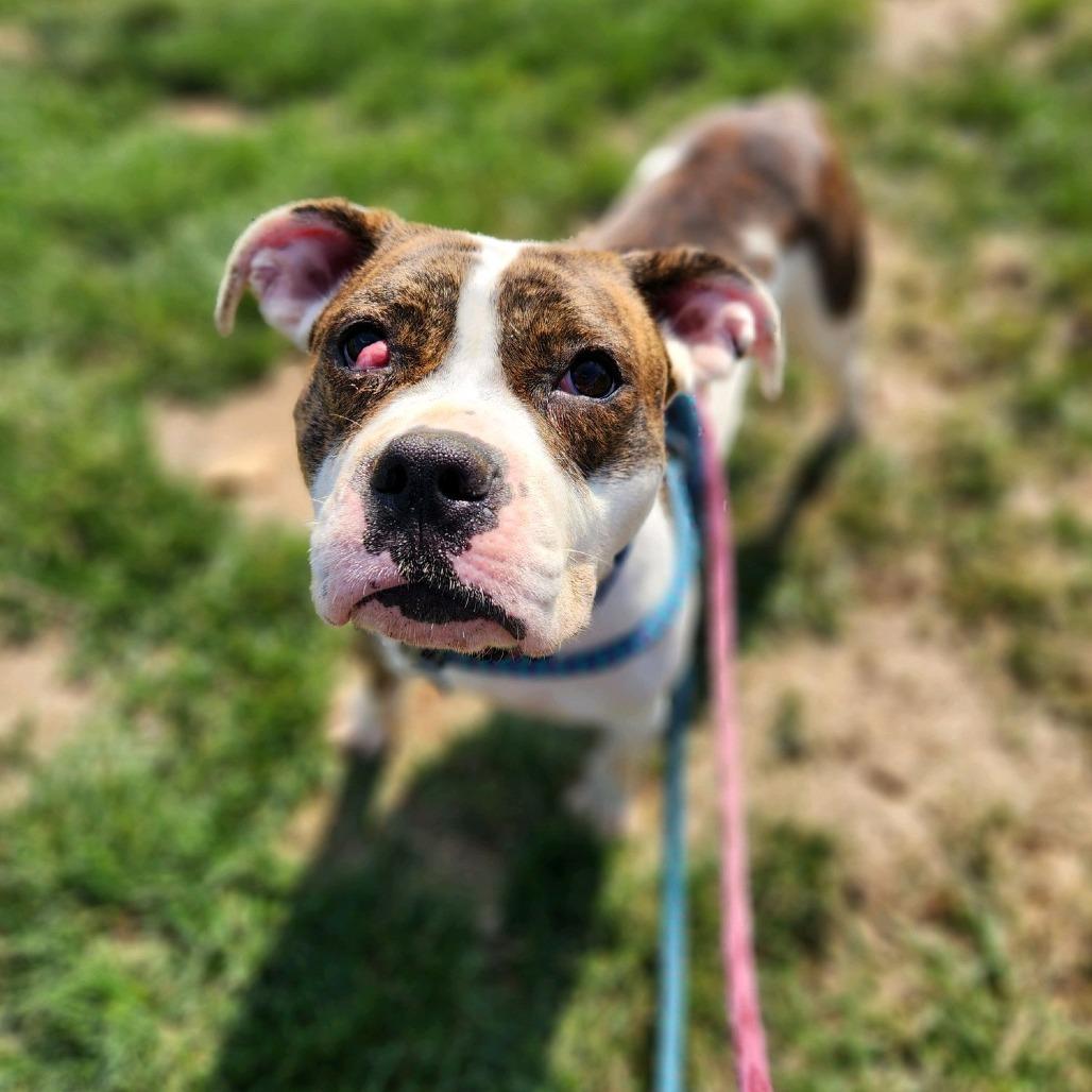 Meryl Streep thumbnail 6